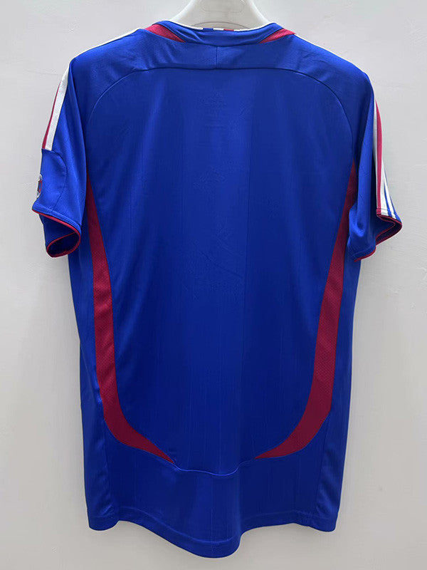 France CDM 2006 Dom
