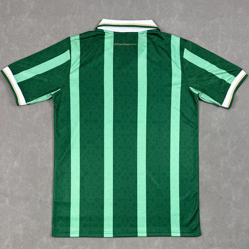 Aston Villa Spécial Vert