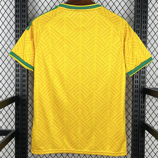 Afrique du Sud 2026 Dom