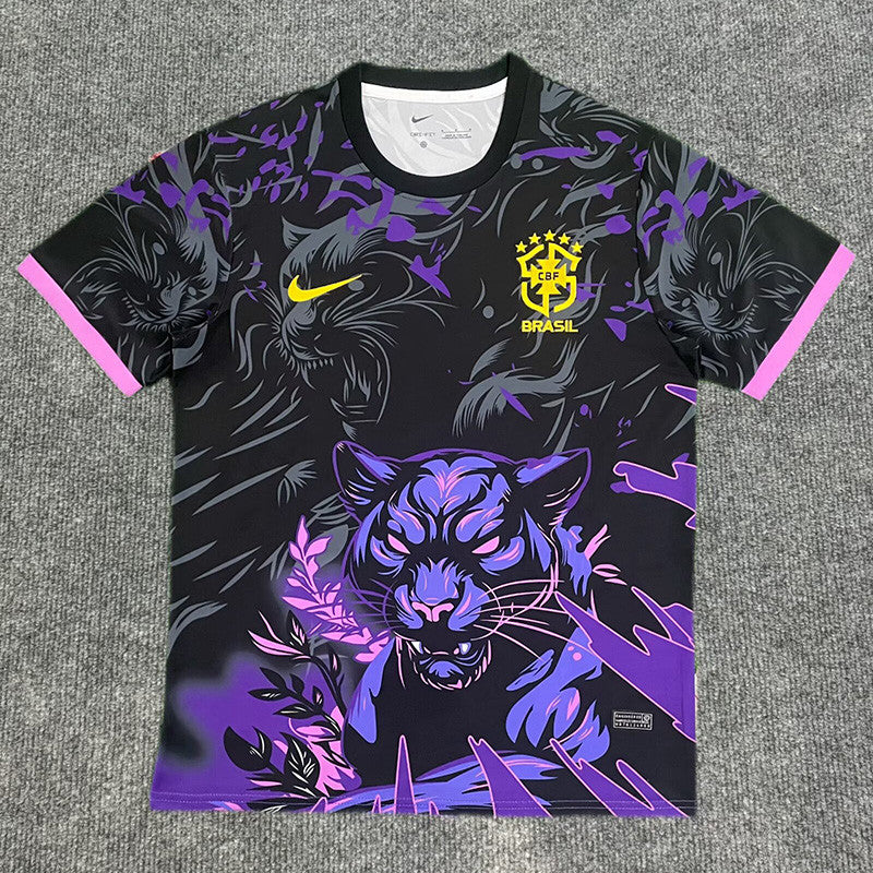 BRÉSIL 2026 CONCEPT