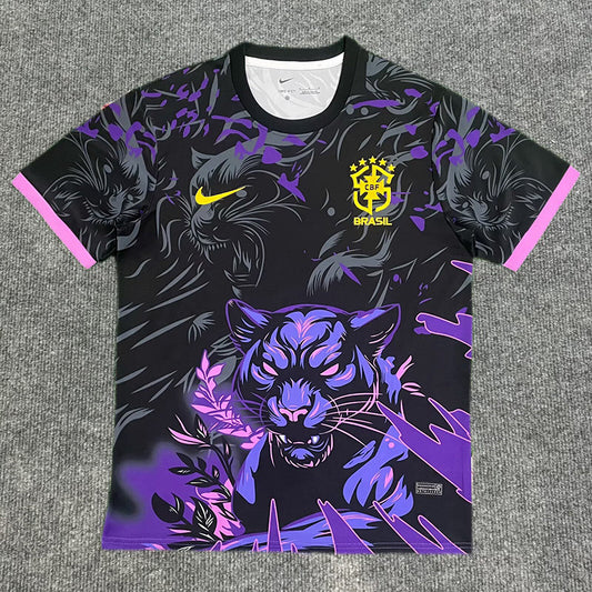 BRÉSIL 2026 CONCEPT