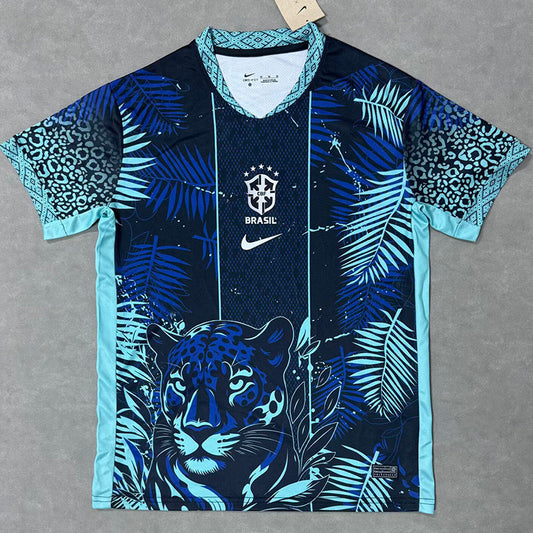 BRÉSIL 25/26 CONCEPT
