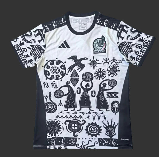 Mexique 2025 Concept