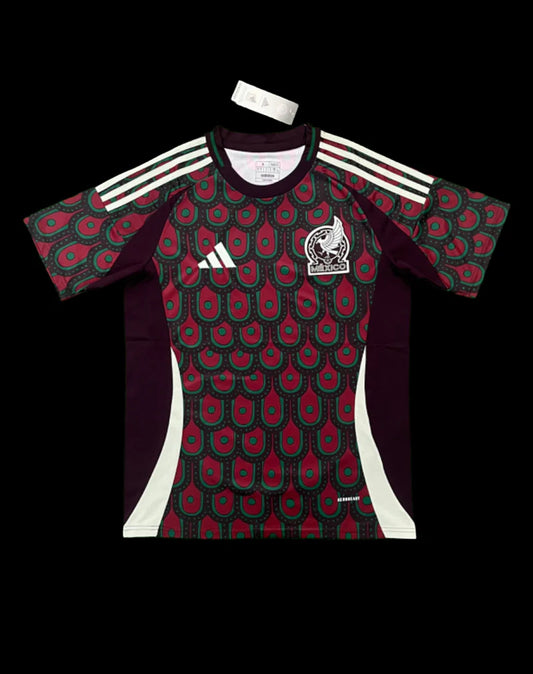 Mexique Ext 2024
