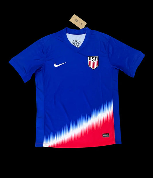 USA Dom 2024