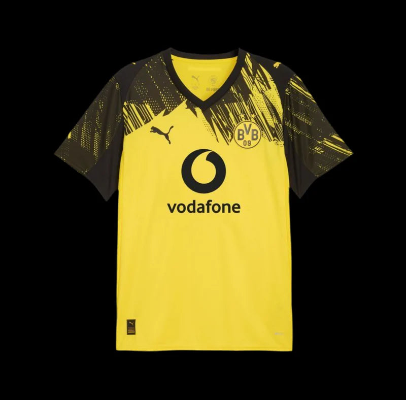 Dortmund 25/26 Dom